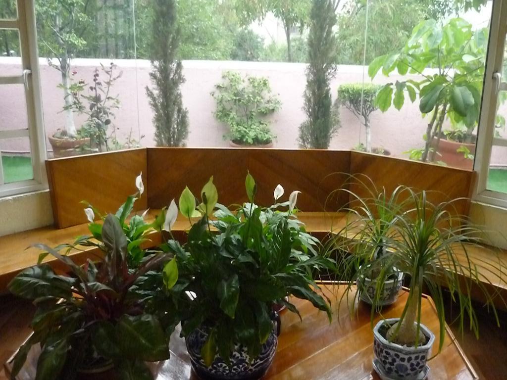 Casona Roma Norte مدينة مكسيكو المظهر الخارجي الصورة